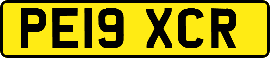 PE19XCR