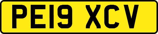 PE19XCV