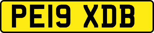 PE19XDB