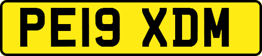 PE19XDM
