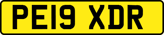 PE19XDR