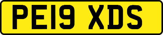 PE19XDS