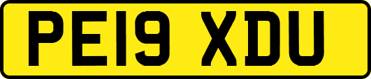 PE19XDU
