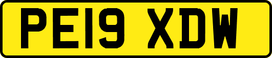 PE19XDW