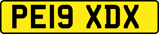 PE19XDX