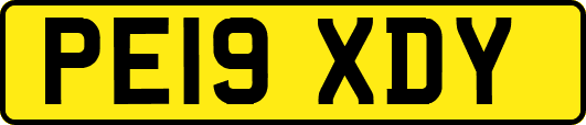 PE19XDY