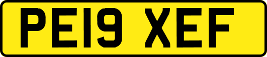 PE19XEF