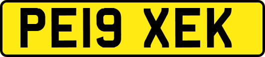 PE19XEK