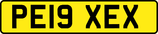 PE19XEX