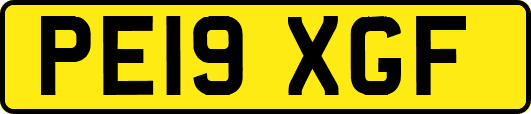 PE19XGF