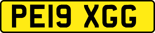 PE19XGG