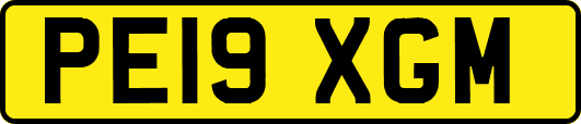PE19XGM