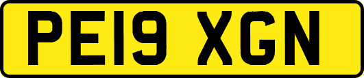 PE19XGN