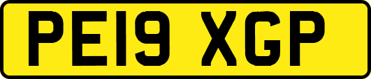 PE19XGP