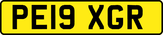 PE19XGR