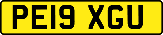 PE19XGU