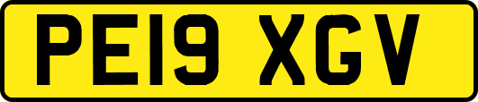 PE19XGV