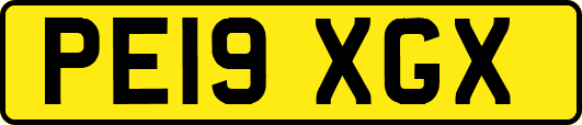 PE19XGX