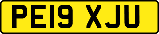 PE19XJU
