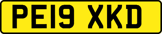 PE19XKD