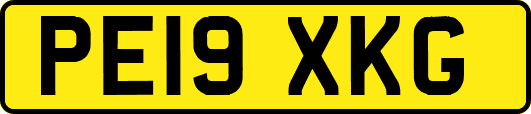 PE19XKG