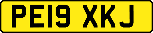 PE19XKJ