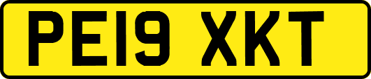 PE19XKT