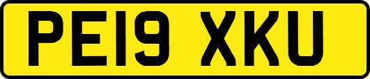 PE19XKU