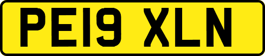 PE19XLN