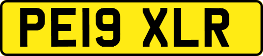 PE19XLR