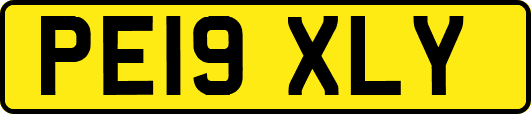 PE19XLY