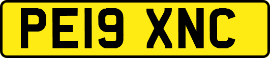 PE19XNC