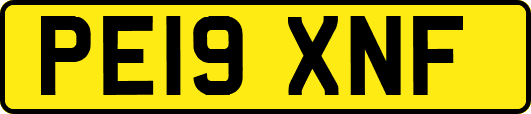 PE19XNF