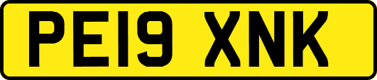 PE19XNK