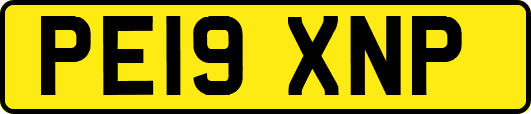 PE19XNP