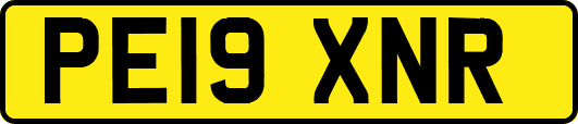 PE19XNR
