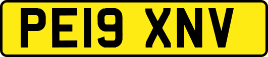 PE19XNV