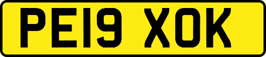 PE19XOK