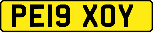 PE19XOY