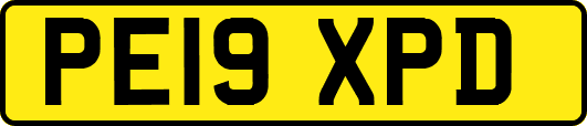 PE19XPD