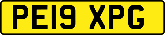 PE19XPG