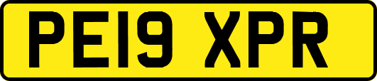 PE19XPR