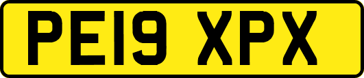 PE19XPX