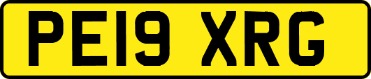 PE19XRG