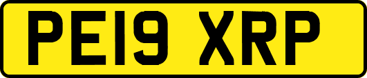 PE19XRP