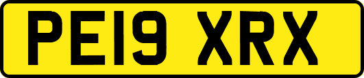 PE19XRX