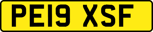 PE19XSF