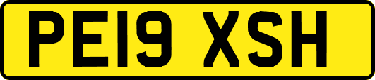 PE19XSH