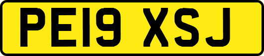 PE19XSJ