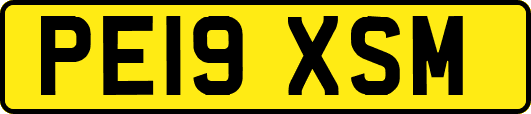PE19XSM